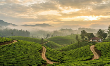 Munnar
