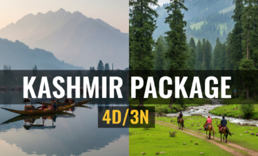 make an image for Kashmir Package 4D/3N