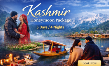 Kashmir Honeymoon Package 5D/4N
