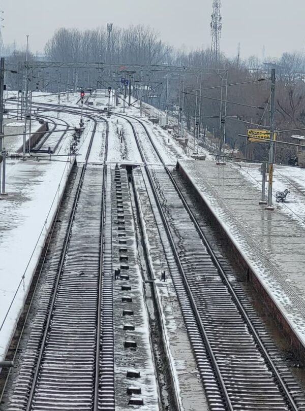 Srinagar Package 5 Days 4 Nights