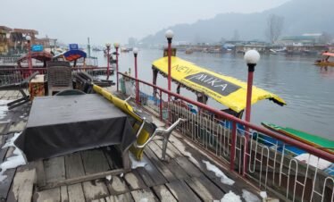 Srinagar Package 5 Days 4 Nights