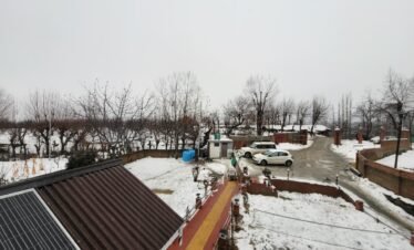 Kashmir Honeymoon Package 5D/4N