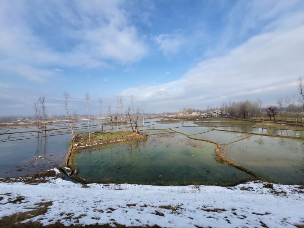 Kashmir Honeymoon Package 5D/4N