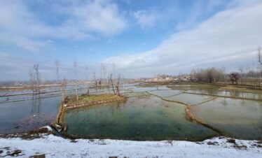 Kashmir Honeymoon Package 5D/4N
