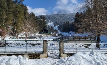 Kashmir Honeymoon Package 5D/4N