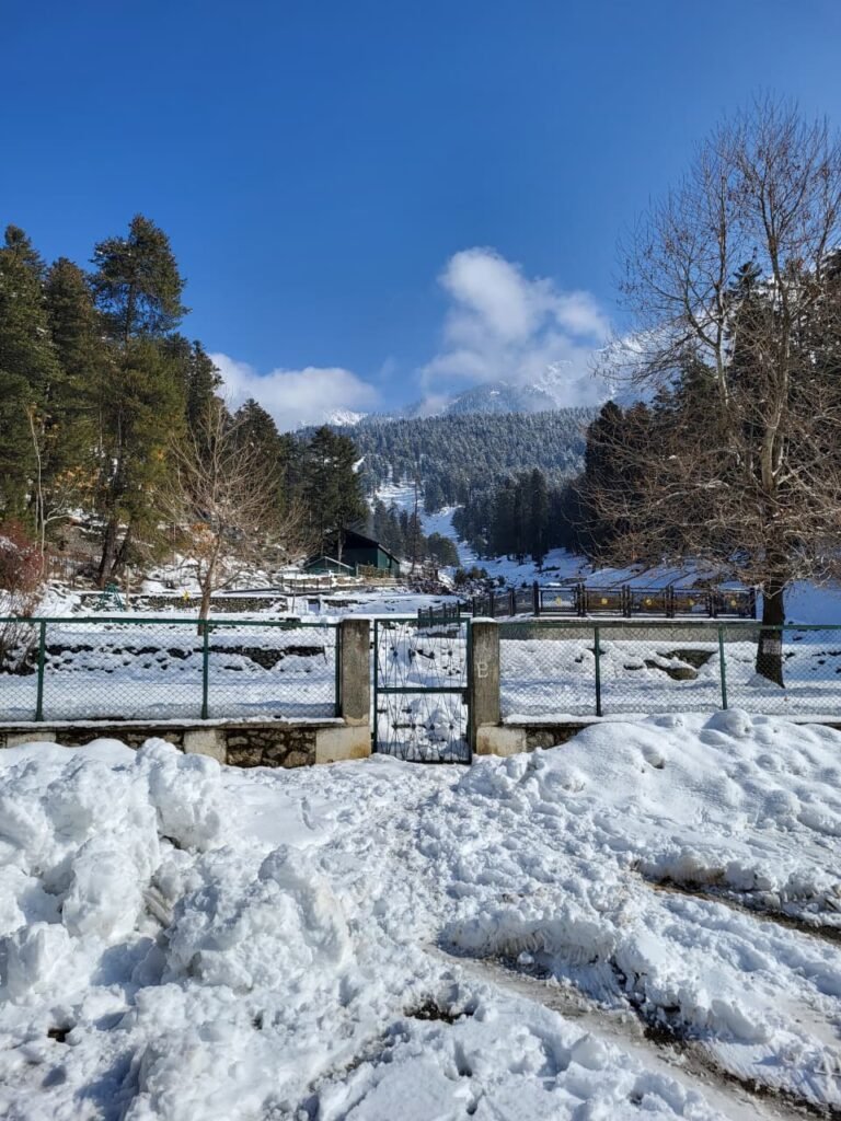 Kashmir Honeymoon Package 5D/4N